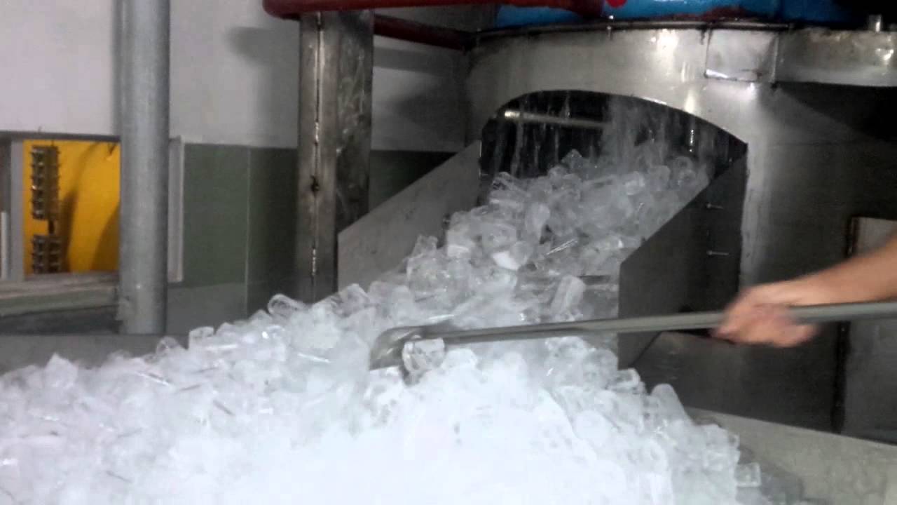 Bán máy làm nước đá tinh khiết tại tphcm